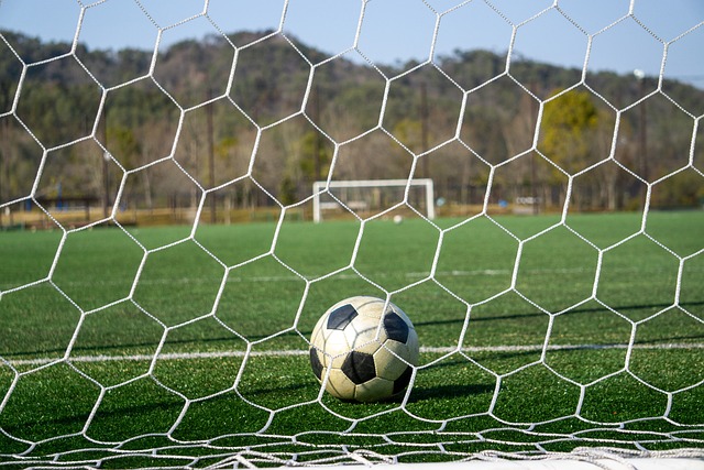 他对自己的 他对自己的