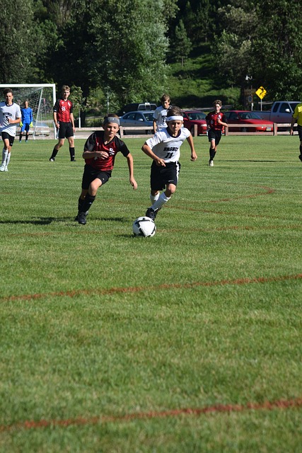 态战胜灰熊 态战胜灰熊