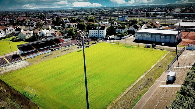 道速滑队主 道速滑队主