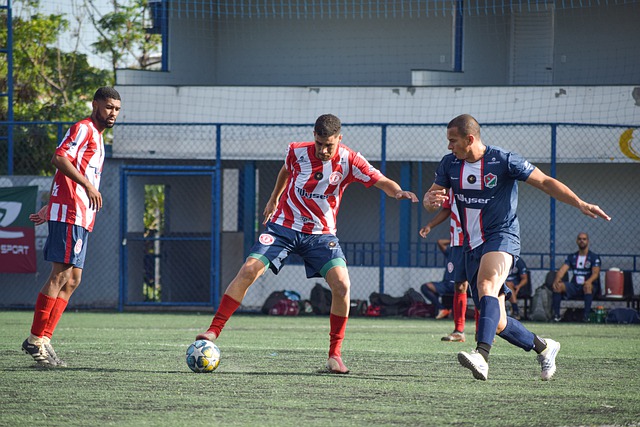 罗伯逊的巅 罗伯逊的巅