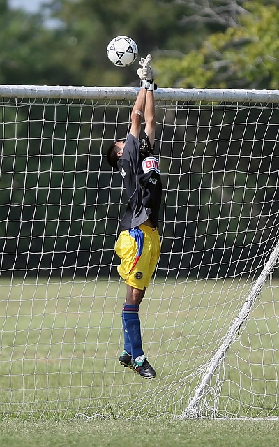 的高發和狀 的高發和狀